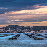 Buy canvas prints of Oyster Beds in the Etang deThau France   by Jim Key