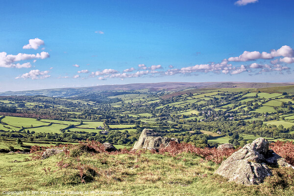 Widecombe Valley Bell Tor Dartmoor  Picture Board by Jim Key