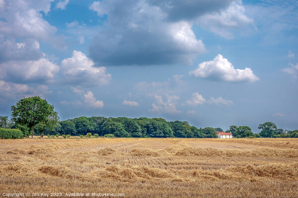 Norfolk Countryside   Picture Board by Jim Key