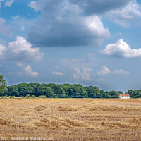 Buy canvas prints of Norfolk Countryside   by Jim Key