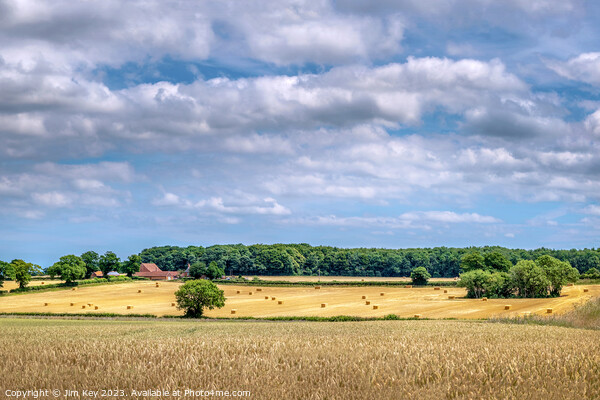 A country view  in Norfolk Picture Board by Jim Key