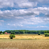 Buy canvas prints of A country view  in Norfolk by Jim Key