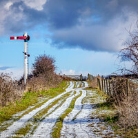 Buy canvas prints of The Footpath to the Heath Weybourne  by Jim Key