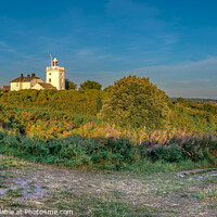 Buy canvas prints of Cromer Lighthouse Panoramic  by Jim Key
