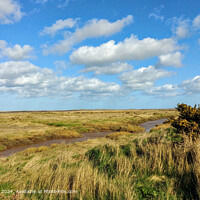 Morston Coastal Path Norfolk