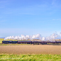 Norfolk Steam Train Landscape