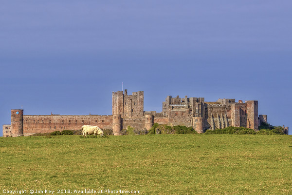 Bamburgh Castle  Northumberland Picture Board by Jim Key