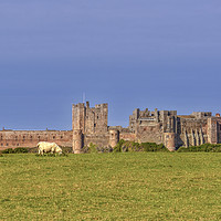Buy canvas prints of Bamburgh Castle  Northumberland by Jim Key
