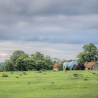 Buy canvas prints of White Horse on a Hill by Jim Key