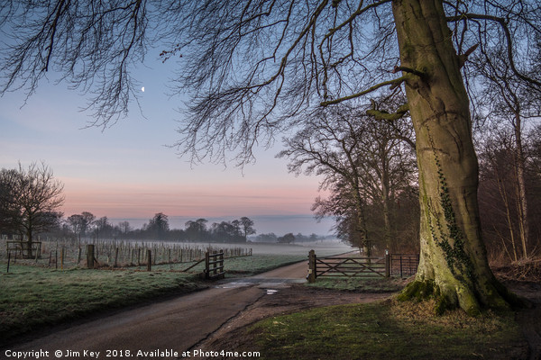 A Winter's Dawn at Felbrigg Hall Picture Board by Jim Key