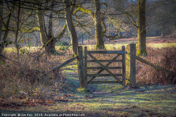 A Gate in the Wood Picture Board by Jim Key