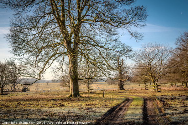 Felbrigg Hall  Winter Parkland View Picture Board by Jim Key