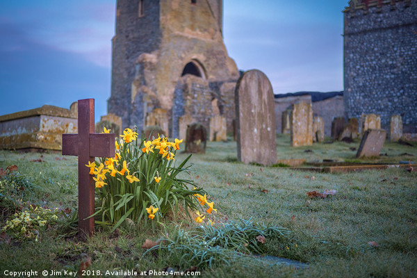 Spring Daffodils at St Mary's Barningham Norfolk  Picture Board by Jim Key