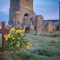 Buy canvas prints of Spring Daffodils at St Mary's Barningham Norfolk  by Jim Key
