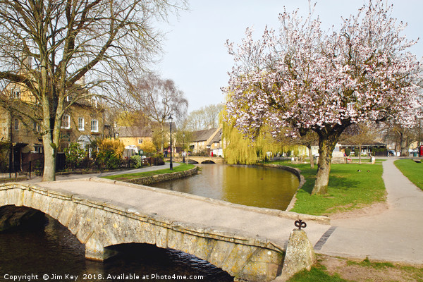 A Blossoming Spring in the Cotswolds Picture Board by Jim Key