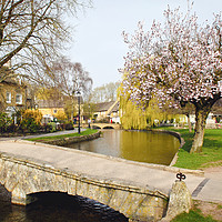 Buy canvas prints of A Blossoming Spring in the Cotswolds by Jim Key