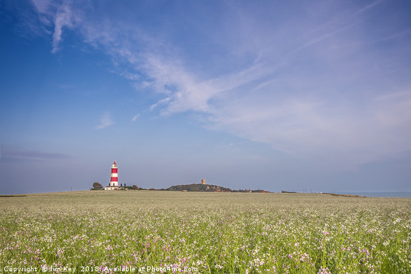 Happisburgh Lighthouse Picture Board by Jim Key