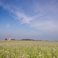Buy canvas prints of Happisburgh Lighthouse by Jim Key