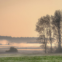 Buy canvas prints of Morning Mist at Holkham Norfolk by Jim Key