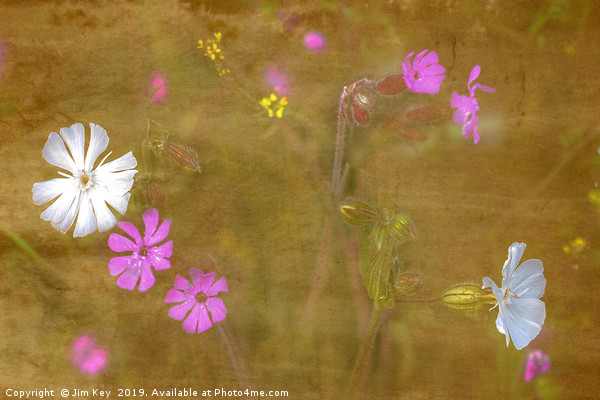 Wildflowers in Abstract Picture Board by Jim Key