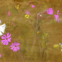 Buy canvas prints of Wildflowers in Abstract by Jim Key