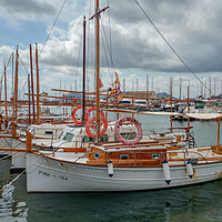 Buy canvas prints of Puerto Pollensa Sailing Marina by Jim Key