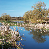Buy canvas prints of The River Wensum Norfolk by Jim Key