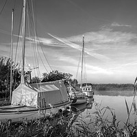 Buy canvas prints of Norfolk Broads by Jim Key