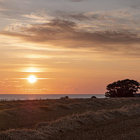 Buy canvas prints of Sunrise Kelling Norfolk  by Jim Key