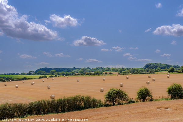 Hay Bales in Rural Norfolk Picture Board by Jim Key