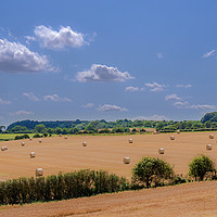 Buy canvas prints of Hay Bales in Rural Norfolk by Jim Key