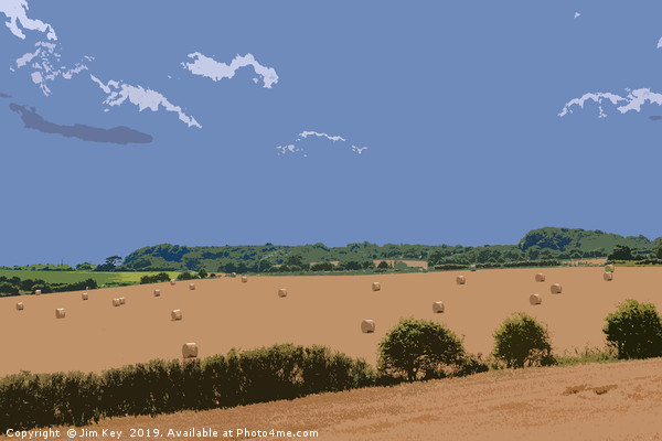 Hay Bales in Rural Norfolk Digital Art Picture Board by Jim Key