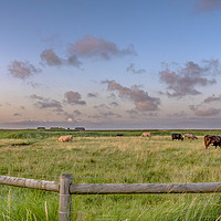 Buy canvas prints of Cley Marshes Norfolk by Jim Key