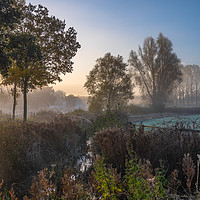 Buy canvas prints of River Wensum at Sunrise Norfolk by Jim Key