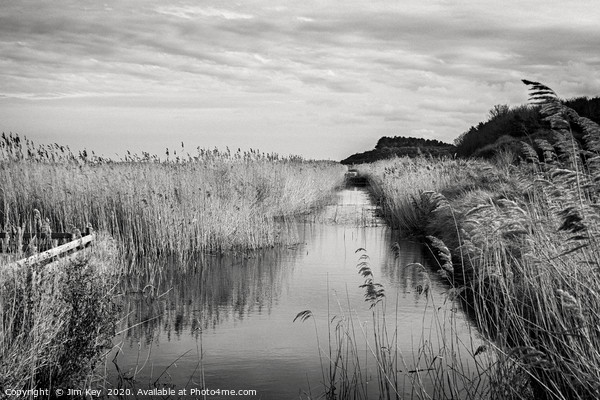 Norfolk Marshlands Black and White. Picture Board by Jim Key