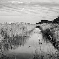 Buy canvas prints of Norfolk Marshlands Black and White. by Jim Key