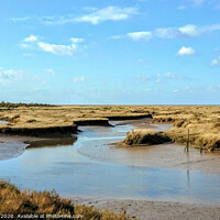Buy canvas prints of Morston Salt Marsh Norfolk by Jim Key