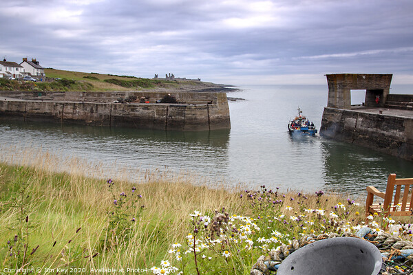Craster Harbour Northumberland Picture Board by Jim Key