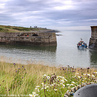 Buy canvas prints of Craster Harbour Northumberland by Jim Key