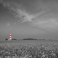 Buy canvas prints of Happisburgh Lighthouse by Jim Key