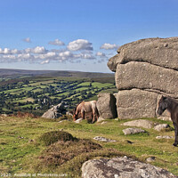 Buy canvas prints of Wild Beauty of Dartmoor by Jim Key