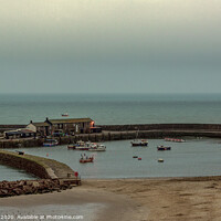 Buy canvas prints of Lyme Regis Cobb Harbour by Jim Key