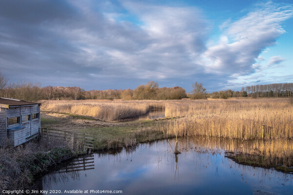 Sculthorpe Nature Reserve  Picture Board by Jim Key