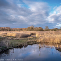Buy canvas prints of Sculthorpe Nature Reserve  by Jim Key