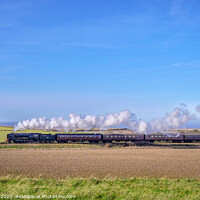 Buy canvas prints of Black Prince Steam Train Norfolk by Jim Key