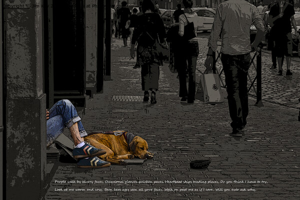 Homeless Man and Dog  Picture Board by Jim Key