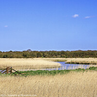 Buy canvas prints of Snape Maltings Suffolk by Jim Key