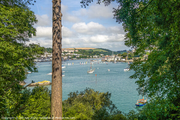 Dartmouth Castle Walk Devon Picture Board by Jim Key