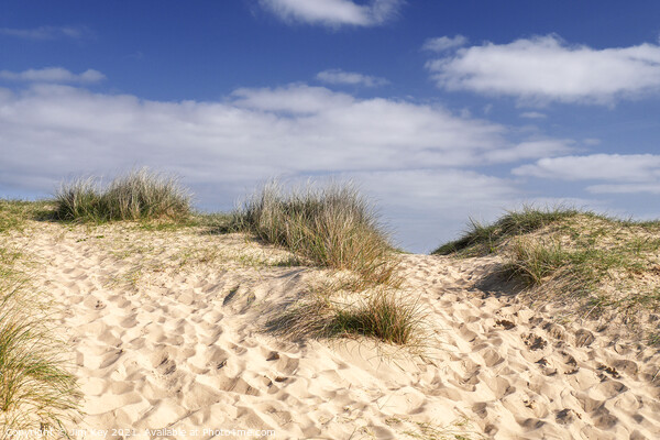Walberswick Beach Sand Dunes Picture Board by Jim Key