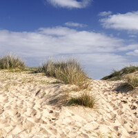 Buy canvas prints of Walberswick Beach Sand Dunes by Jim Key